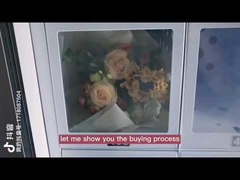 মাংস পনির আইসক্রিম লকার আকার জন্য 22 ইঞ্চি হিমায়িত ভেন্ডিং মেশিন কাস্টমাইজড