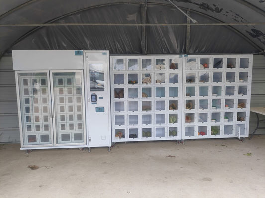 সর্বোচ্চ 40টি পণ্যের বিভিন্নতা সহ কাপকেক লকার ভেন্ডিং মেশিন, ১টি কন্ট্রোলার এবং ৮টি মেশিনের উচ্চ ক্ষমতা