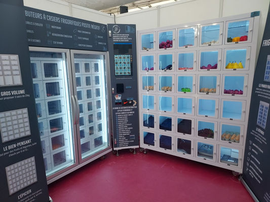 21.5 ইঞ্চি টাচস্ক্রিন লকার ভেন্ডিং মেশিন কাস্টম গ্রাফিক্স এবং কুলিং সিস্টেম সহ -22-20C