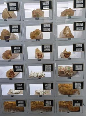 স্বাস্থ্যকর ডিজাইন এবং অ্যান্ড্রয়েড ১১ অপারেটিং সিস্টেম সহ ৪০ লকার ক্যাপাসিটি সম্পন্ন লকার ভেন্ডিং মেশিন