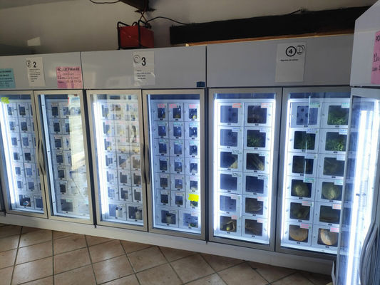 ছোট আকারের খামার উৎপাদকদের জন্য অ্যান্ড্রয়েড ১১ ডিম বিতরণ মেশিন, দিনরাত সুবিধা এবং কার্যকারিতা